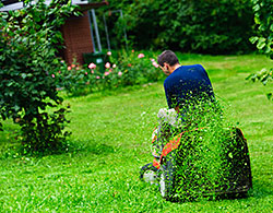 Lawn Care